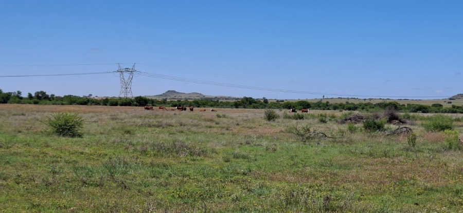 Commercial Property for Sale in Bloemfontein Rural Free State